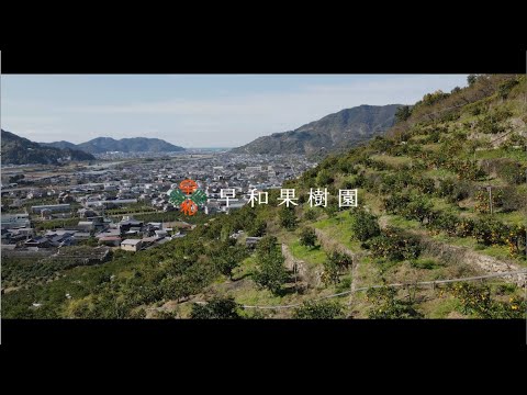 株式会社早和果樹園　採用動画