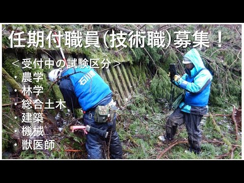 石川県任期付職員募集動画【林業職】