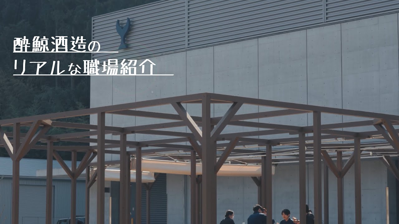 【採用動画】酔鯨酒造のリアルな職場紹介