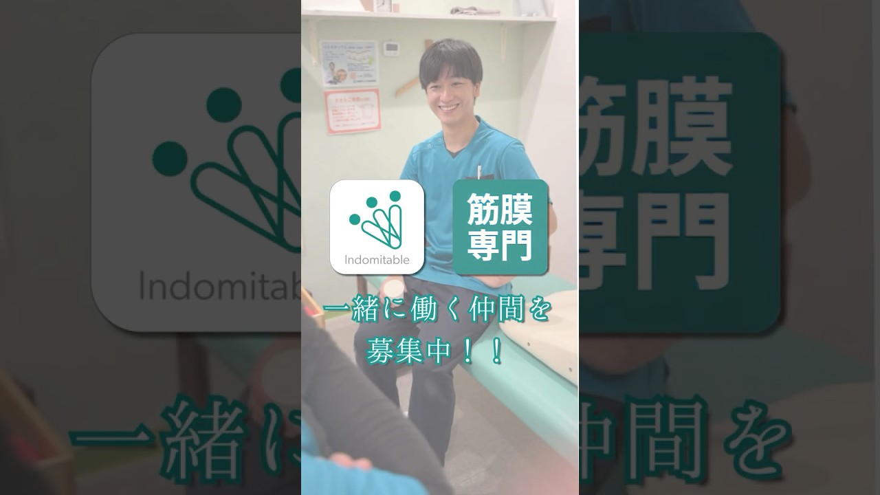 株式会社Indomitable 採用動画(伊東先生)
