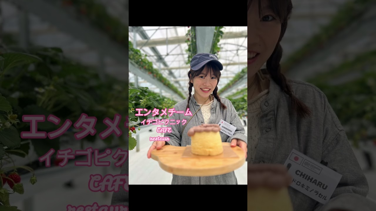 採用動画2509 1