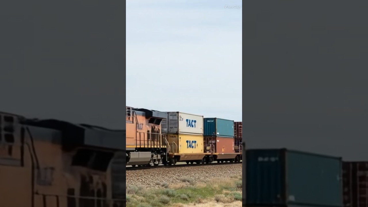 AI generated videos 229 ポルトガル #cram #採用ムービー #software #エンジニア採用担当