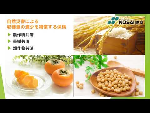 ２分でわかる！NOSAI岐阜の職員採用動画