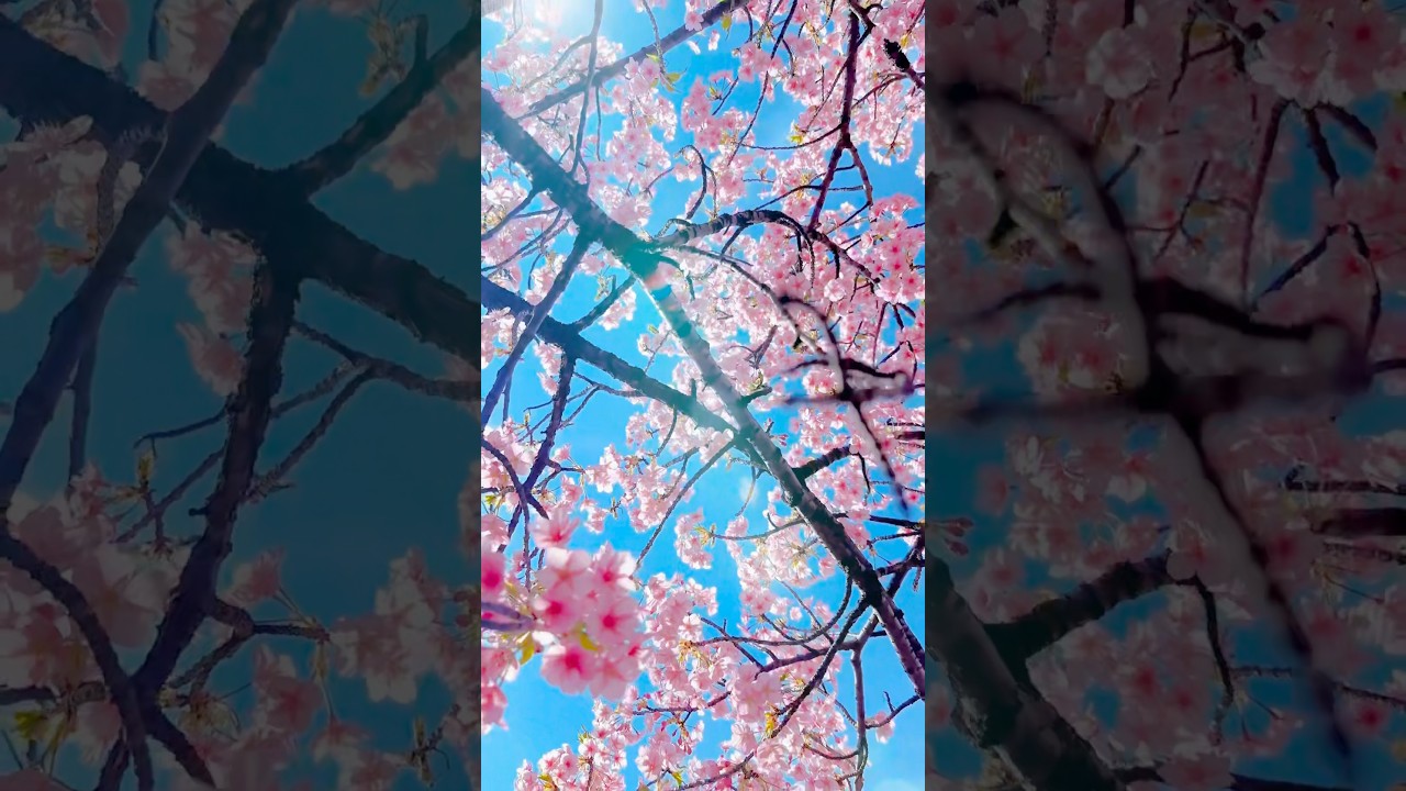 【エモい動画の作り方】#企業ドキュメンタリー #automobile #採用ムービー #地方創生