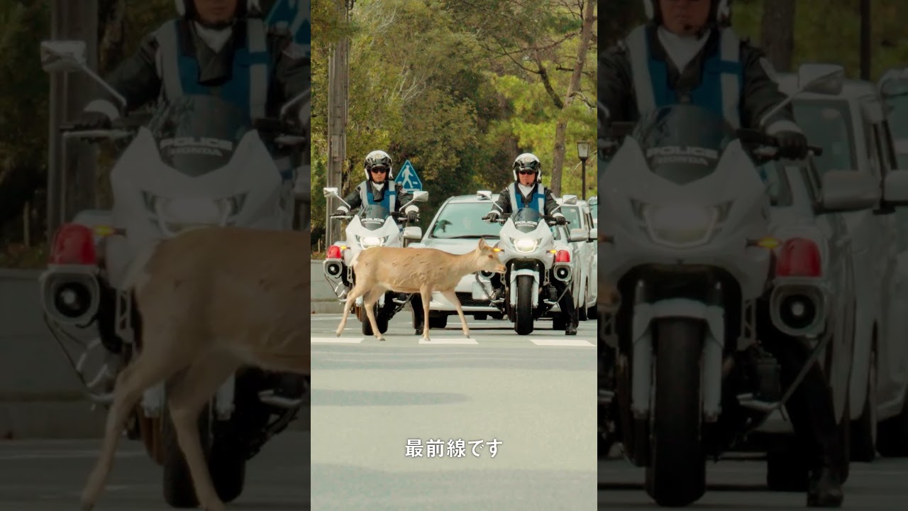 【奈良県警察採用募集動画　白バイ隊員・仕事もプライベートも充実！（15秒）】