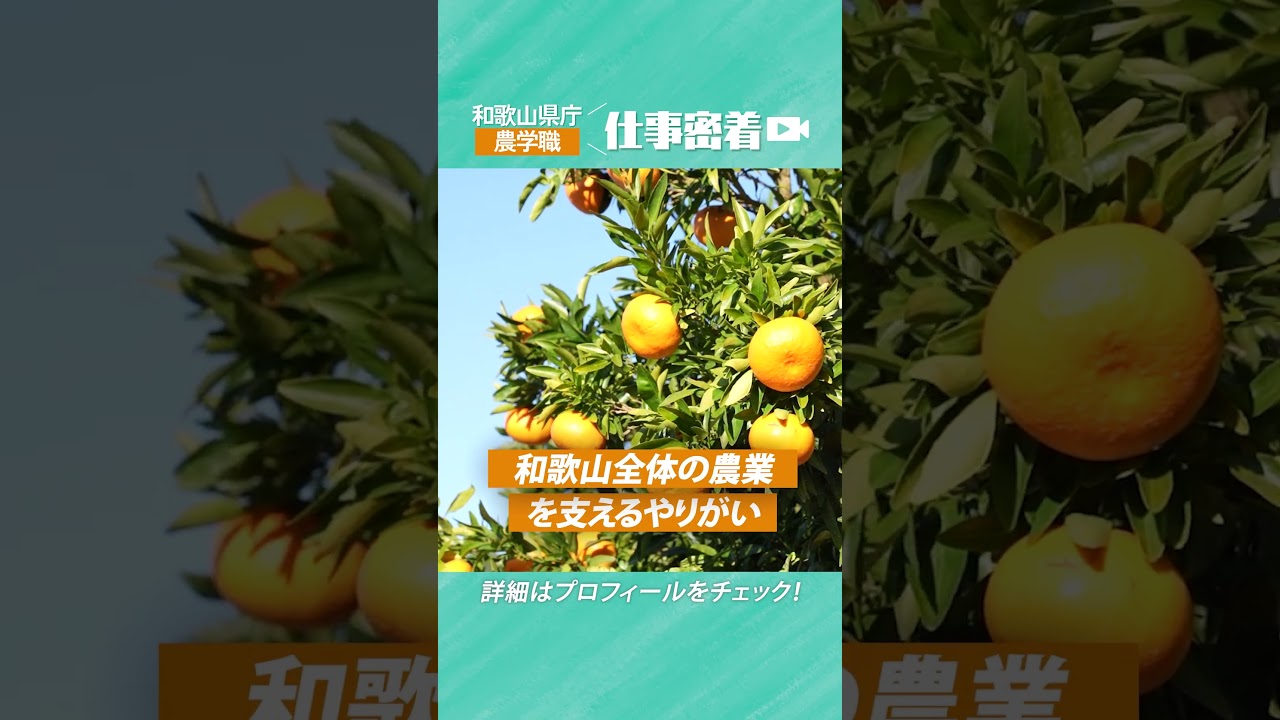 ショート版【和歌山県】職員採用動画｜農学職員に密着