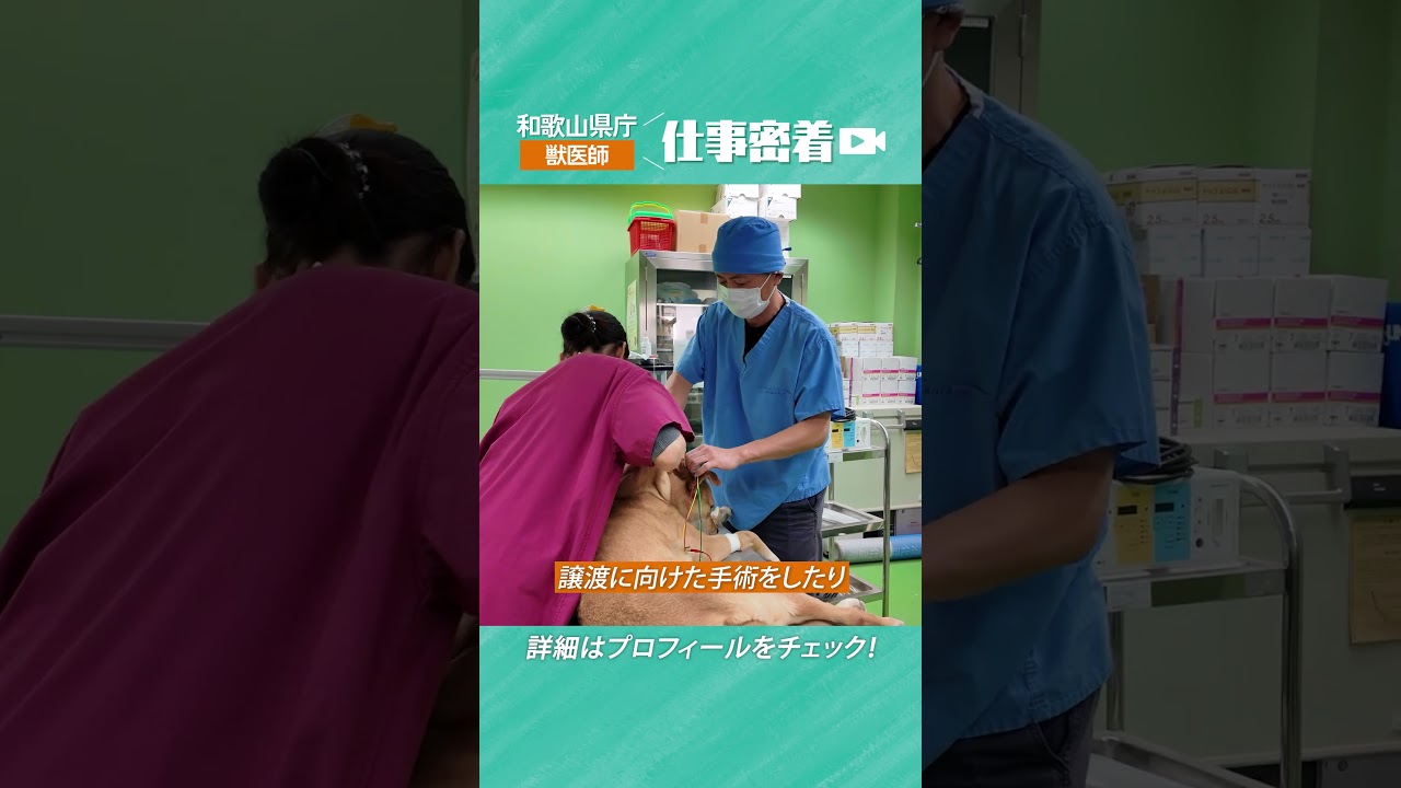 ショート版【和歌山県】職員採用動画｜獣医師に密着