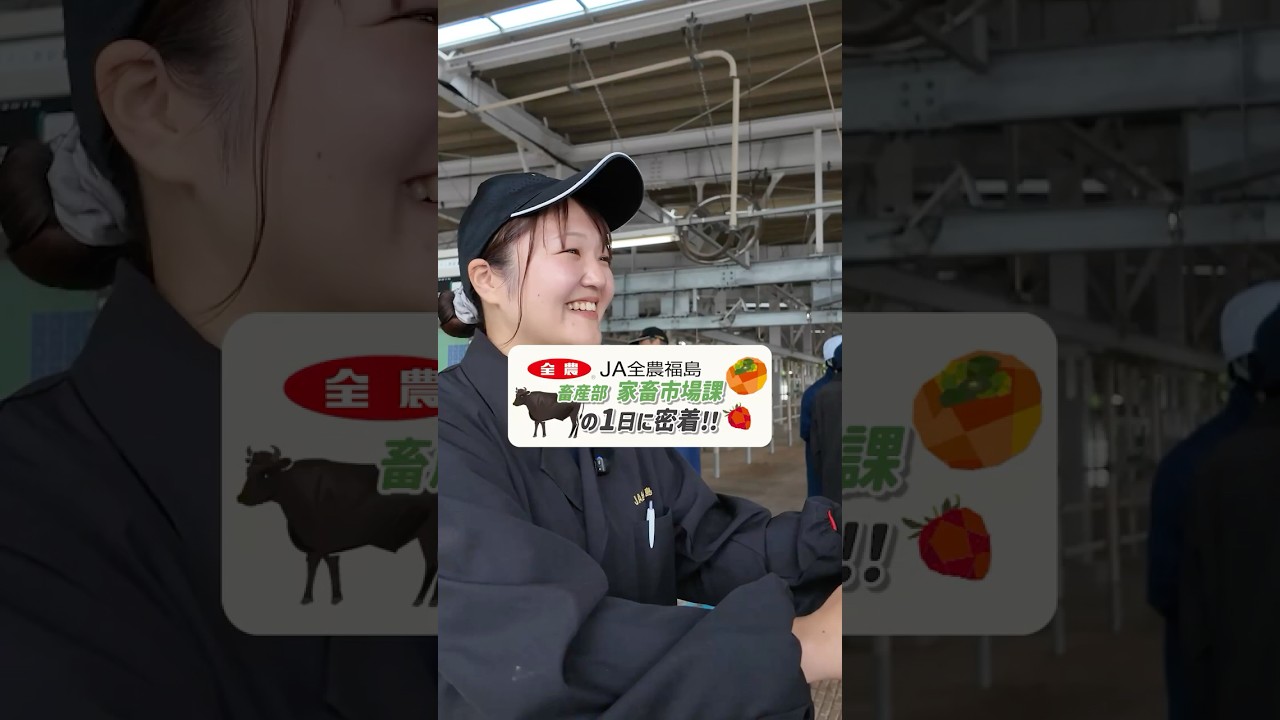 【採用動画】全農福島のお仕事紹介⑤（子牛せりの運営）