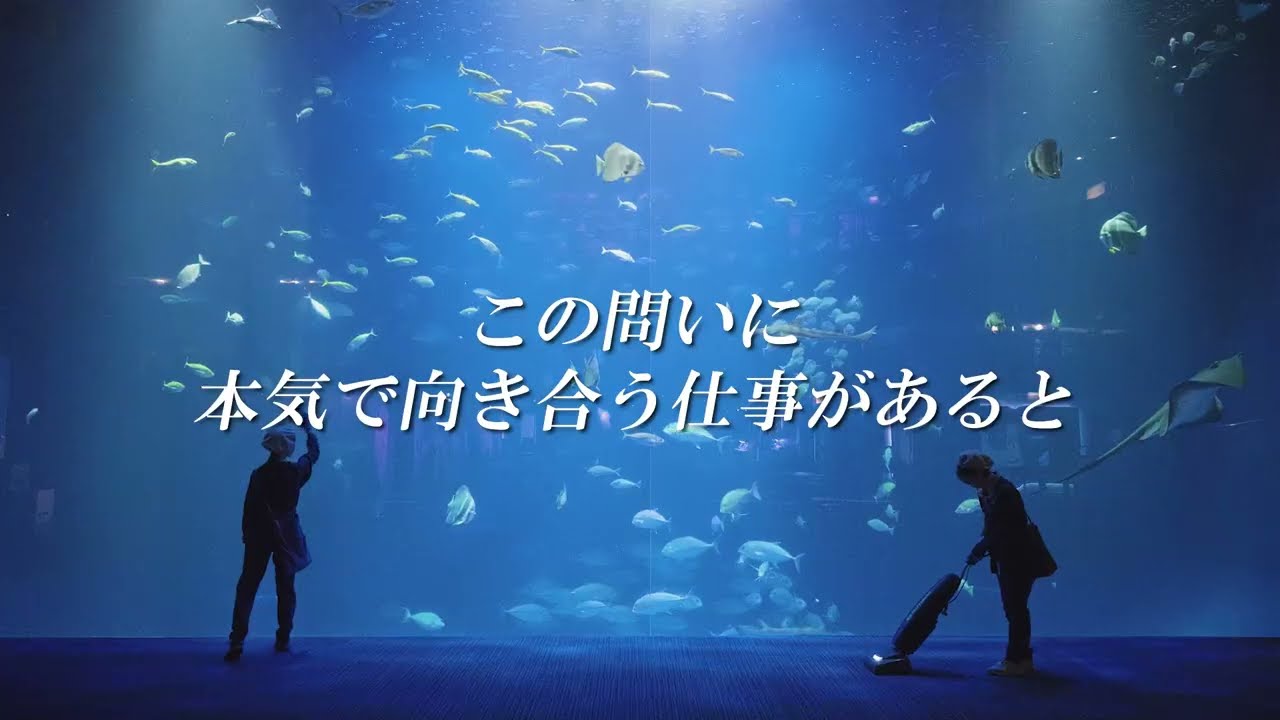 【採用動画】株式会社エヌビーエム　採用メッセージムービー