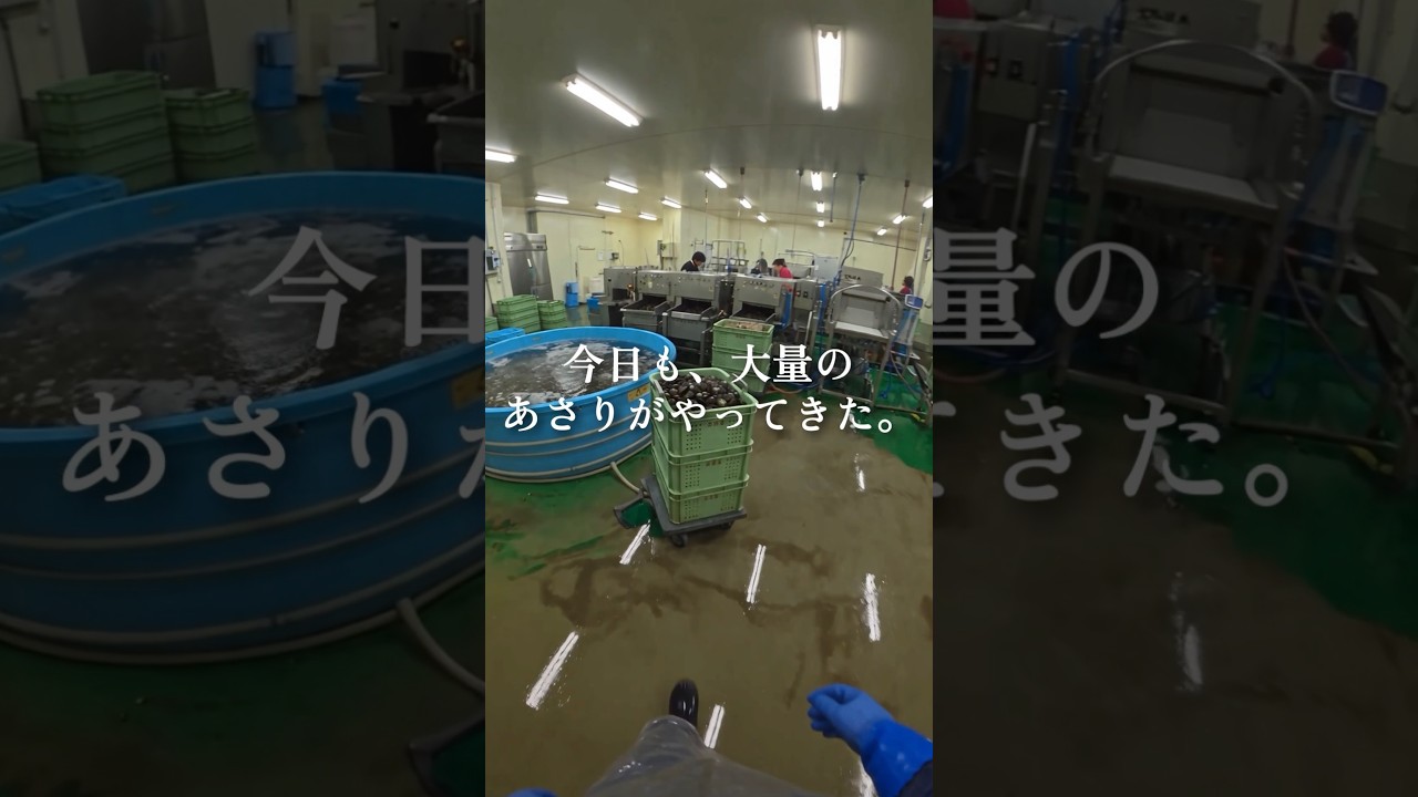 若手採用｜あさり工場｜POV求人｜サンプル｜