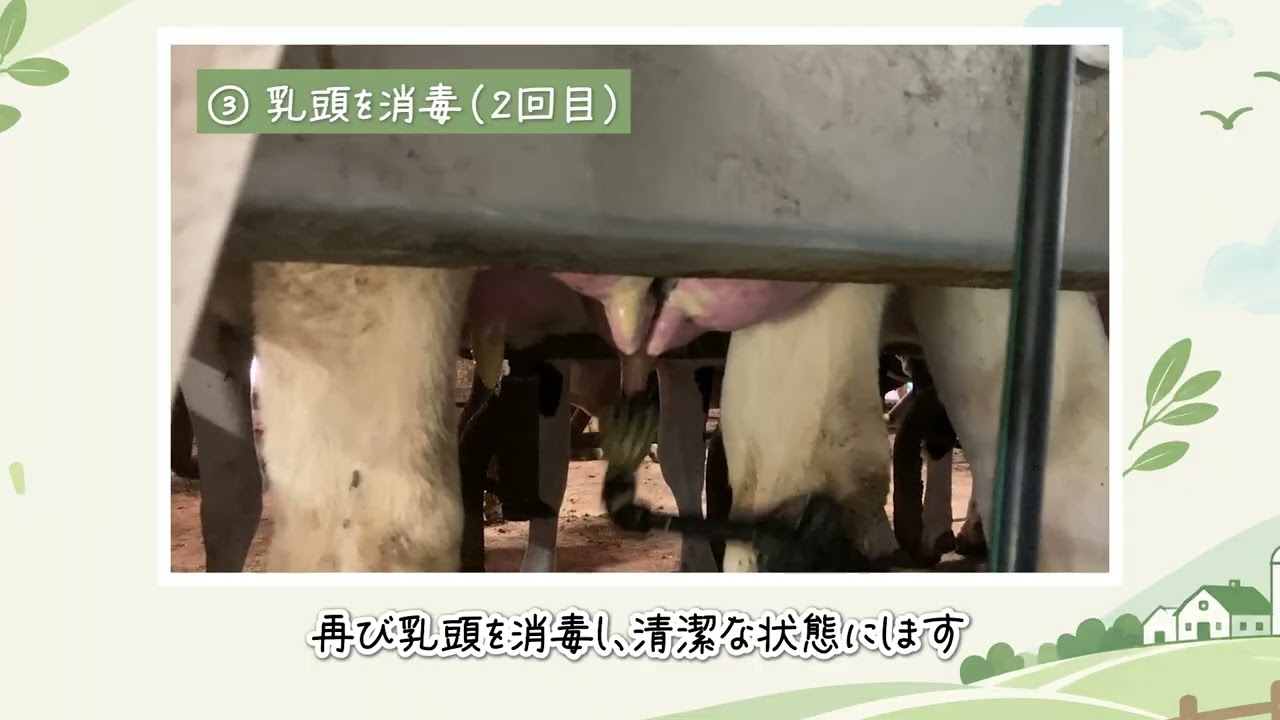 採用動画（十川牧場）